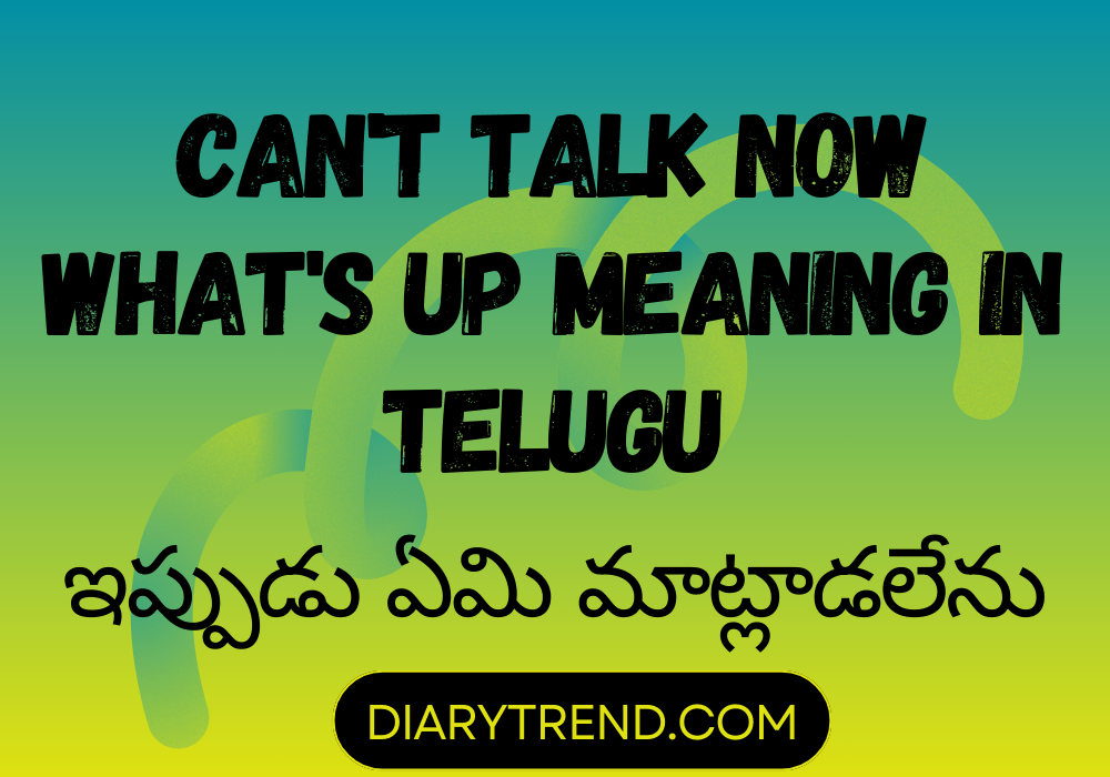 Can't Talk Now What's Up Meaning In Telugu