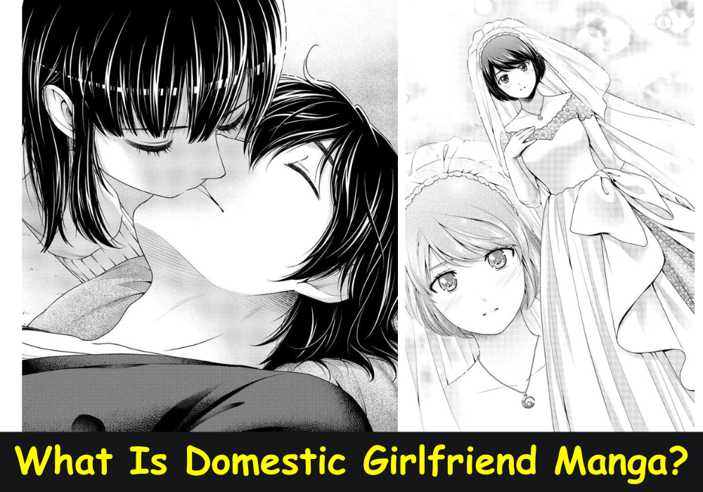 Domestic Girlfriend Manga
