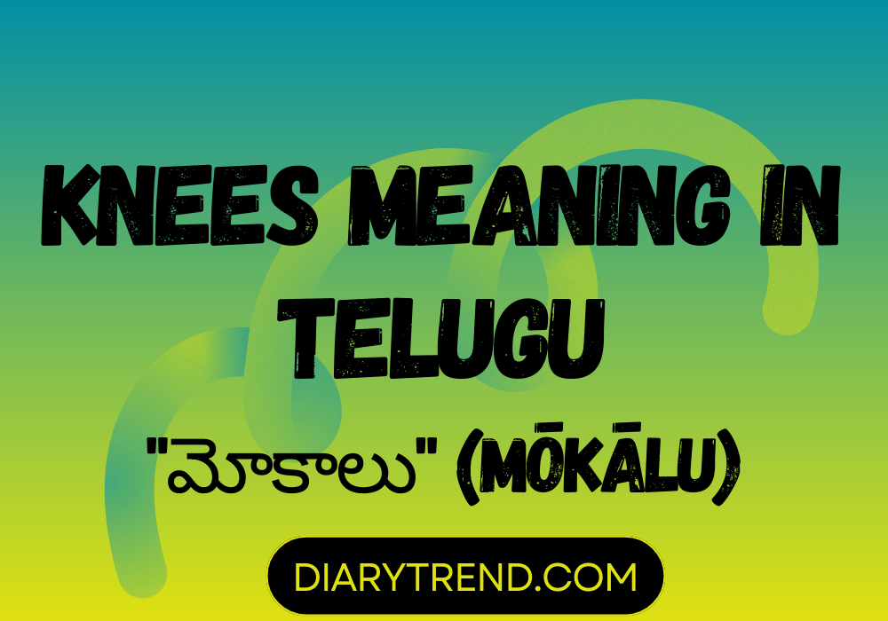 Knees Meaning In Telugu