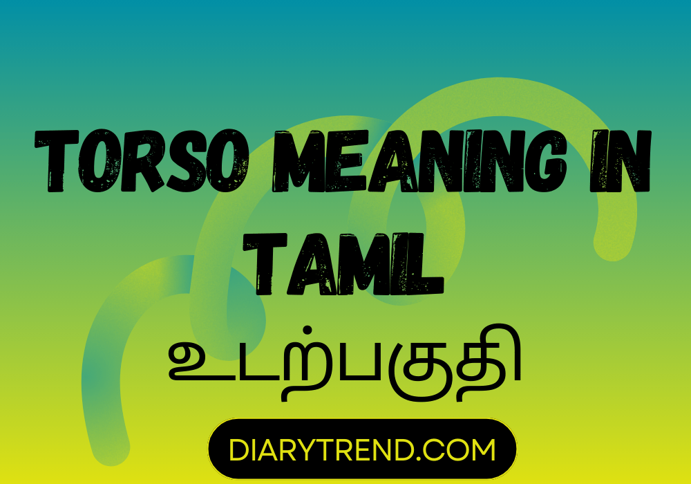 Torso Meaning In Tamil