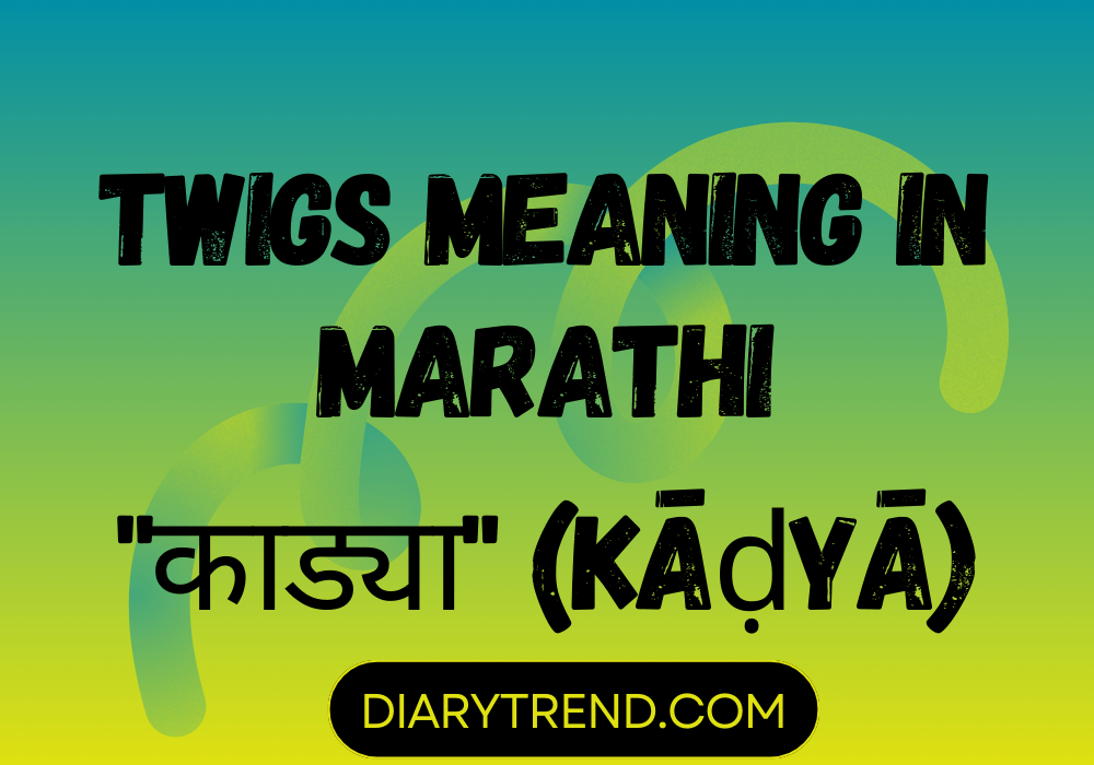 Twigs Meaning In Marathi